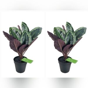 2-pack 17" Faux Calathea Roseoptica Indoor Potted Plant Ashland Green Purple NWT